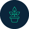 A green icon of a small pot with a plant that has three leaves