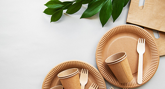 Biodegradable Packaging Certification