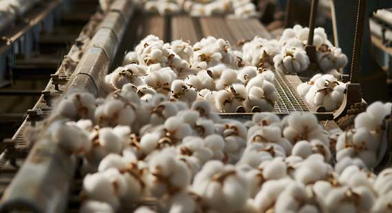 Cotton traceability in textile supply chain