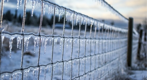 Winter Weather Precautions Infographic