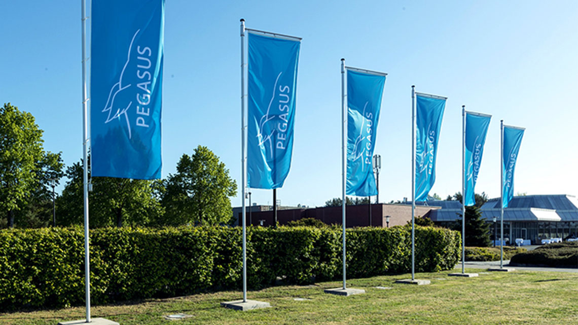 Six blue flags with the Pegasus logo and the text 'PEGASUS' are lined up in a row against a backdrop of greenery and a clear blue sky.