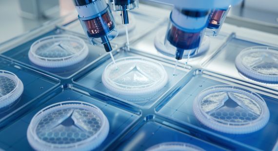 ISO 13485: Understanding Quality and Regulatory Compliance