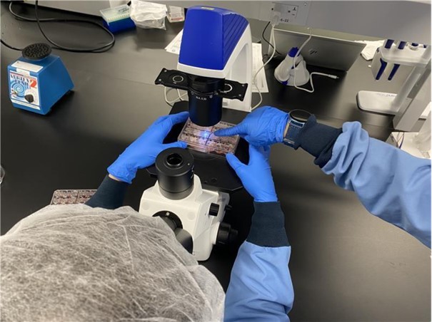 Biocompatibility Testing Laboratory