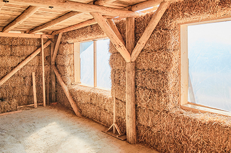 Ecovillage interior
