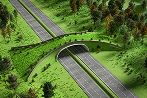 rendering of wildlife bridge