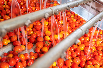 Why food manufacturers are a hotbed for cyberattacks?