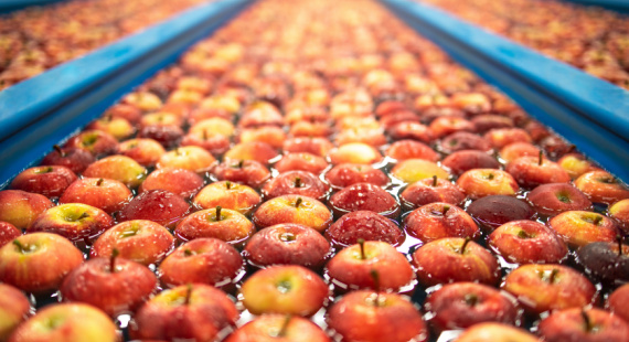Risk management food industry