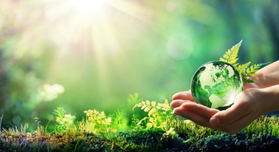 Supply Chain Due Diligence