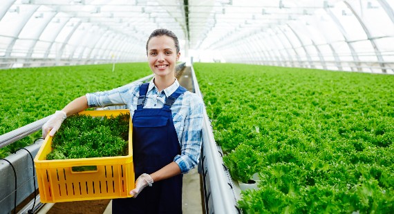 GSFI, Food Safety Management System Schemes: The Right Fit for Your Company!