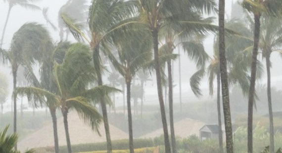 How To Protect Your Commercial Properties Against Hurricanes and Tropical Storms