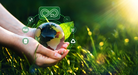 Assessing Risks and Monitoring Performance for Sustainable Supply Chains