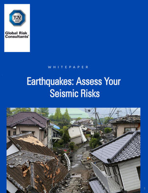 Download Seismic Assessment White Paper
