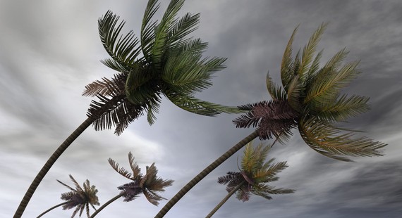 Tropical Storms: Assess Your Risk After a Record-Breaking Year