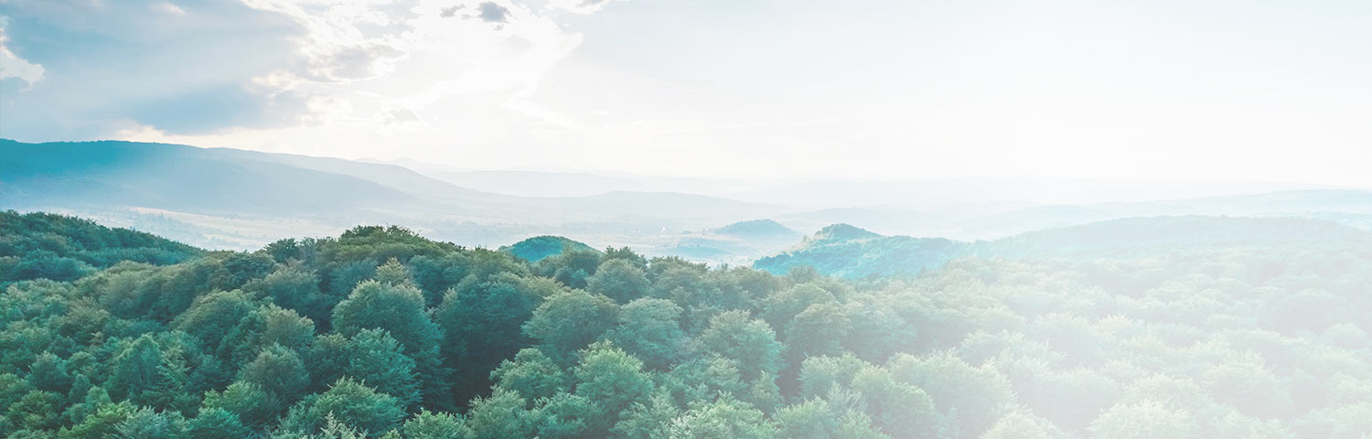 Forest Carbon Validation & Verification in the Americas