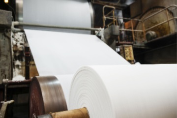 Risk Engineering Services for Wood Pulp-and-Paper Operations