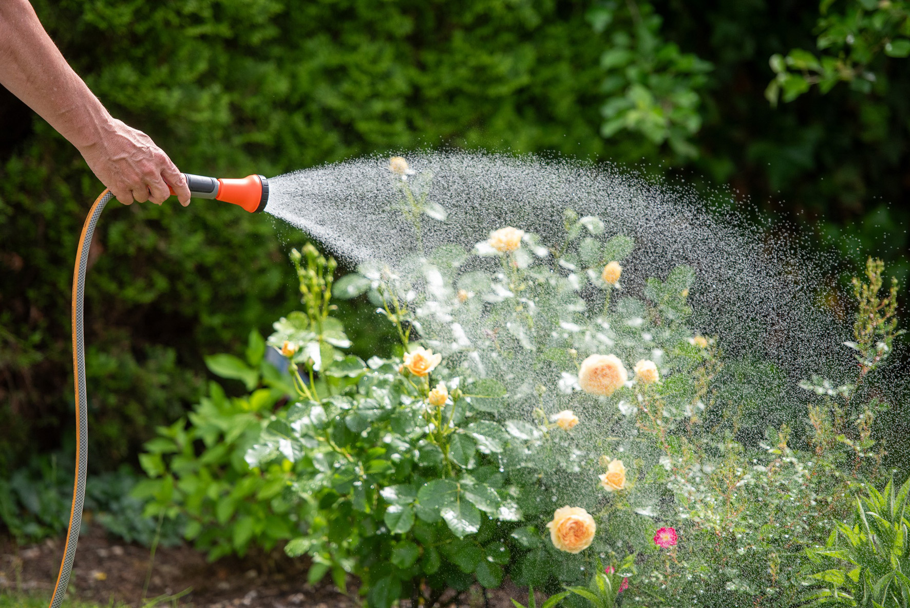 Gartenbewaesserung