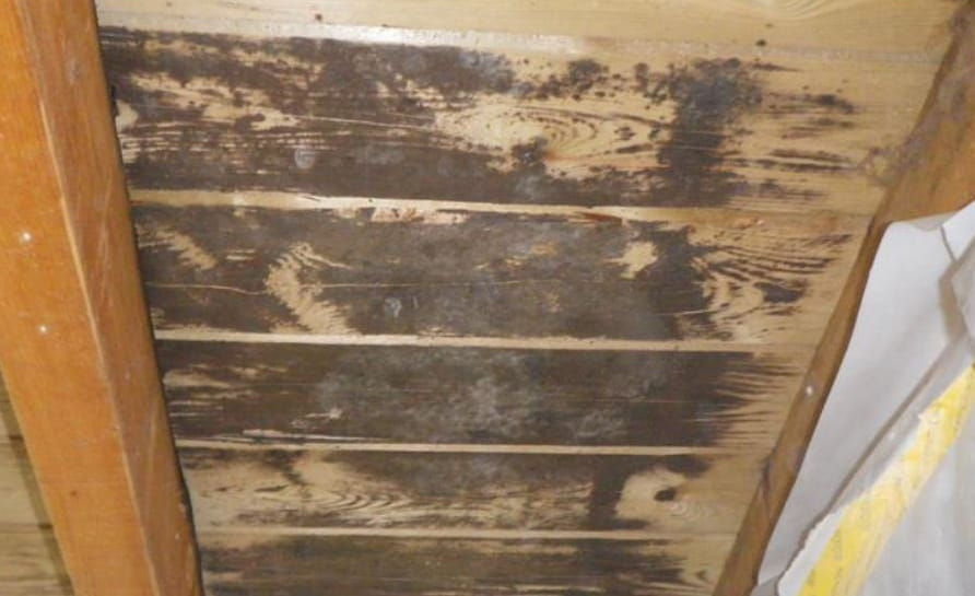 Flachdächer in Holzbauweise aus bauphysikalischer Sicht