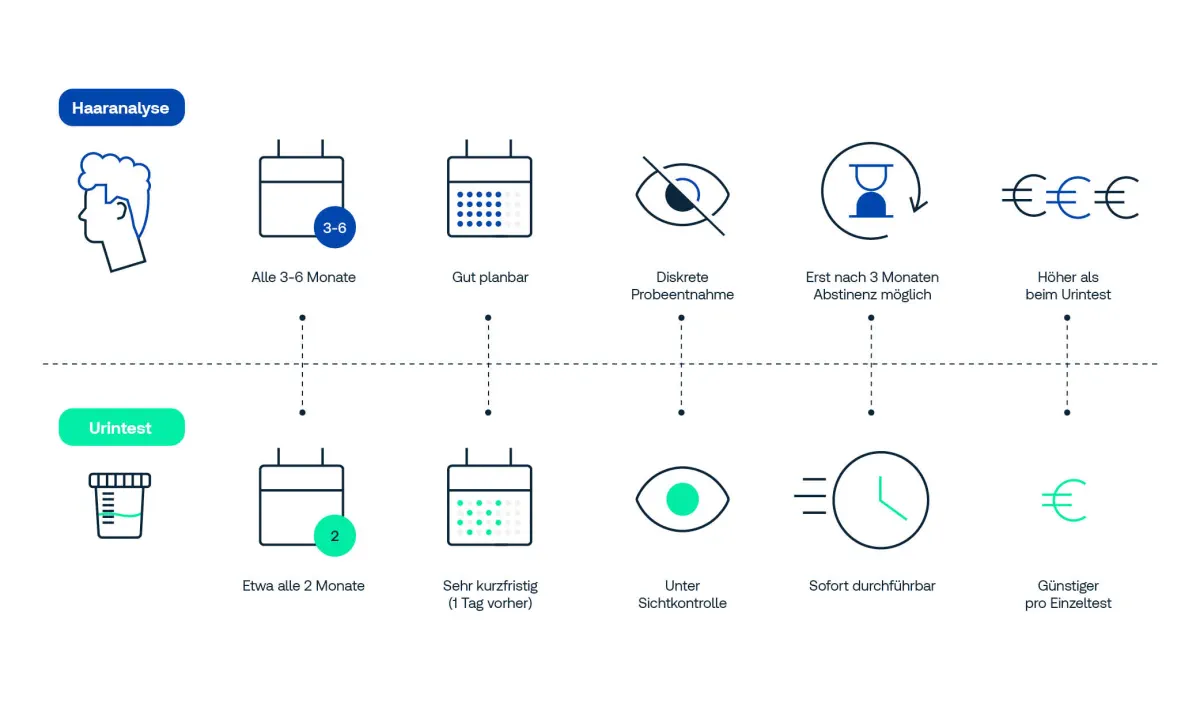 Vergleich Haaranalyse vs. Urintest Infografik: Vergleich Haaranalyse vs. Urintest für MPU – Haaranalyse alle 3–6 Monate, gut planbar, diskrete Probenentnahme, Abstinenznachweis ab 3 Monaten, höhere Kosten; Urintest alle 2 Monate, kurzfristig planbar, unter Sichtkontrolle, sofort durchführbar, günstiger pro Test.