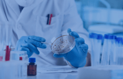 Labortechniker untersucht Schimmelprobe in einer Petrischale unter Laborbedingungen.