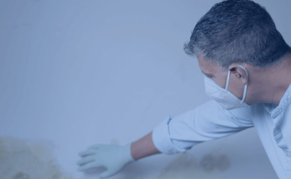 Fachmann mit Maske begutachtet Schimmelbefall an einer Innenwand.