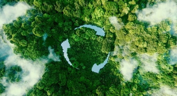 Nachhaltigkeitssymbol aus Wasserwegen inmitten dichter grüner Wälder