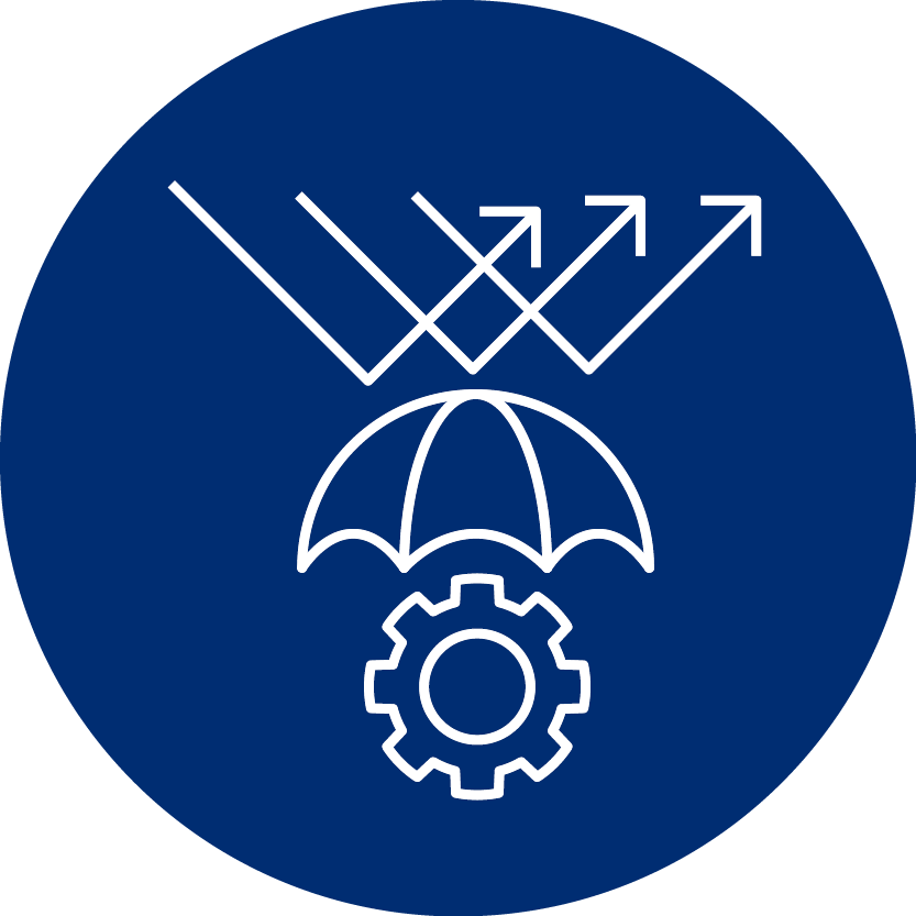 Icon Imageschaden