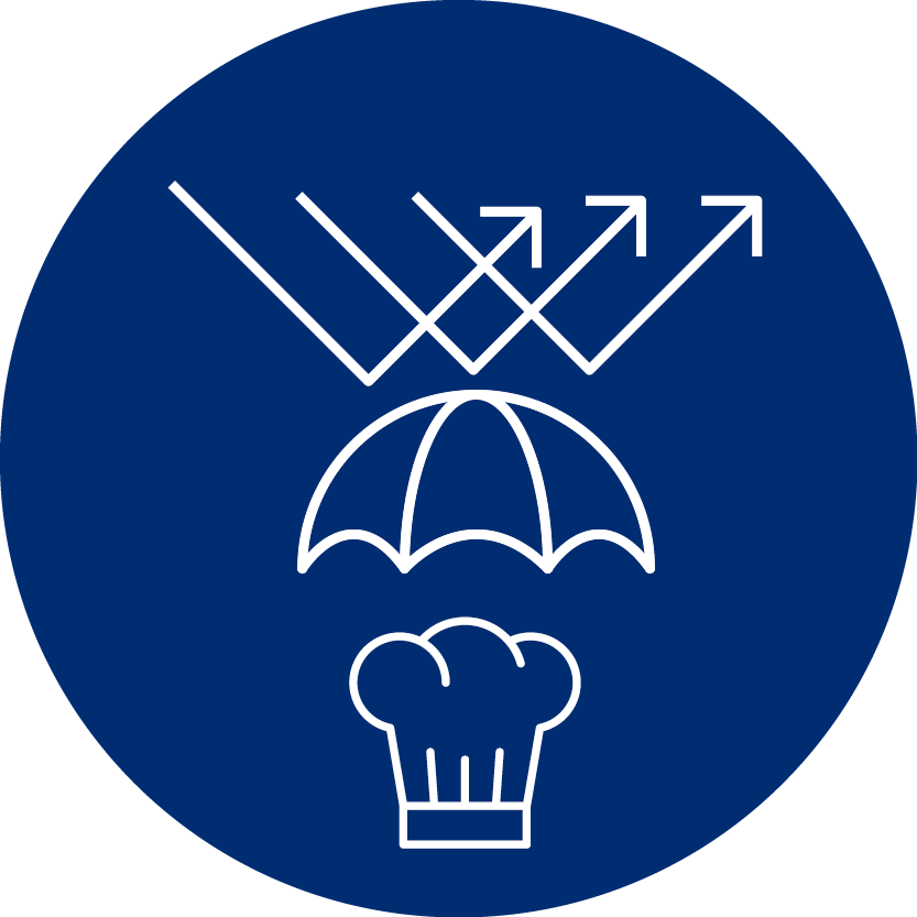 Icon Imageschaden