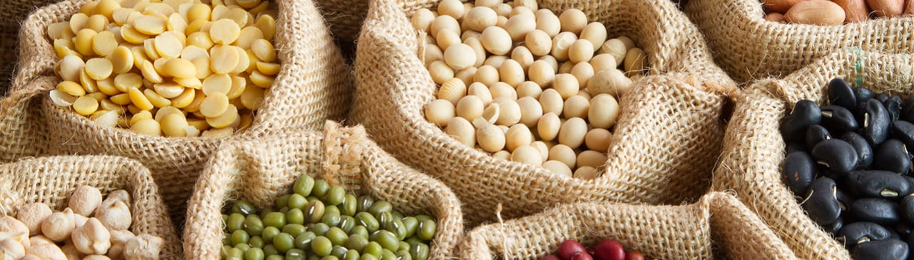 Verbrauchertipp: Alleskönner Hülsenfrucht