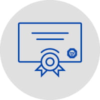 Icons Auditor 4