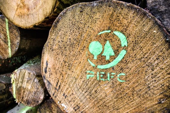 Baumstamm mit PEFC Logo