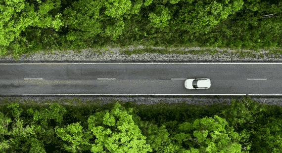 Ein  Auto in einem Wald als Symbol für das RSCI-Audit in der Automobilindustrie
