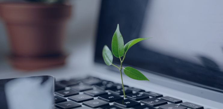 Sustainable Procurement