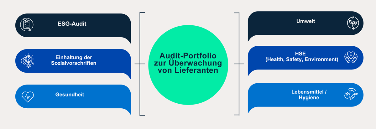 ESG Audit Portfolio mit Icons