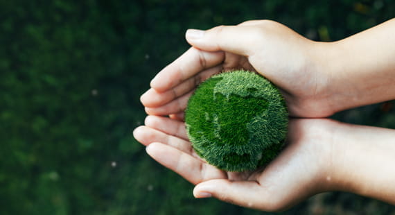 Foto Hand mit grüner Erdkugel Product Carbon Footprint