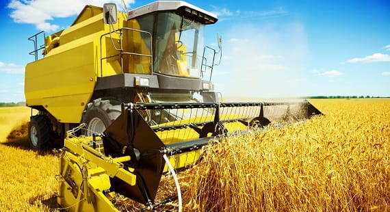 An yellow harvester in work