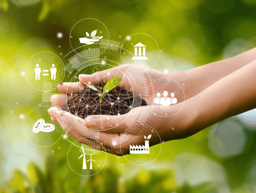 sustainability rating systems