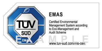 ts-emas-en-example