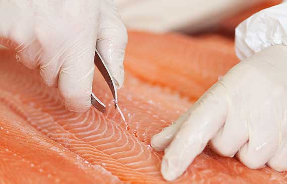 SAFE SEAFOOD PRODUCTION PRACTICES