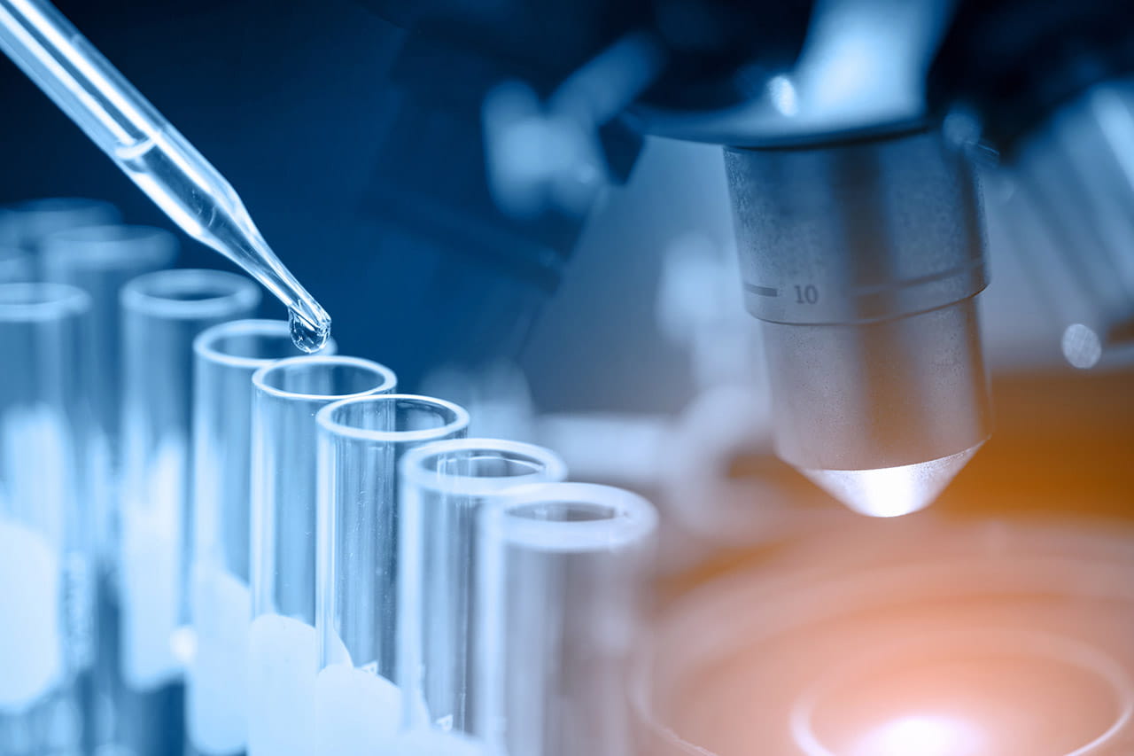 医療機器の生物学的安全性評価に関する規格改正と認証申請における審査のポイント（国内向け）