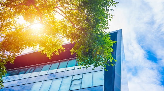 building environment sustainable management