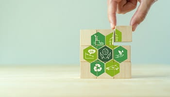 Sustainability Reporting Assessment