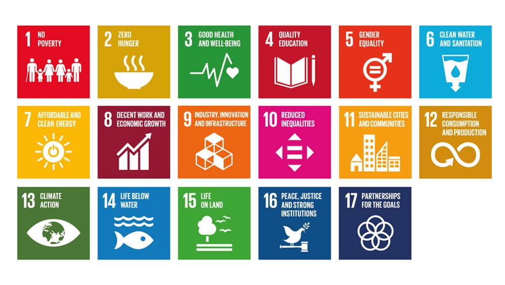 Biểu tượng SDG của Liên Hợp Quốc 