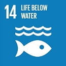 Life Below Water