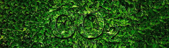 carbon management 