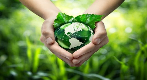 sustainability