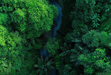 Sustainability