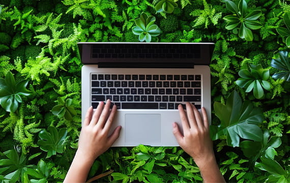 Sustainability software evaluation