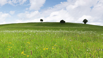 environmental and sustainability solutions