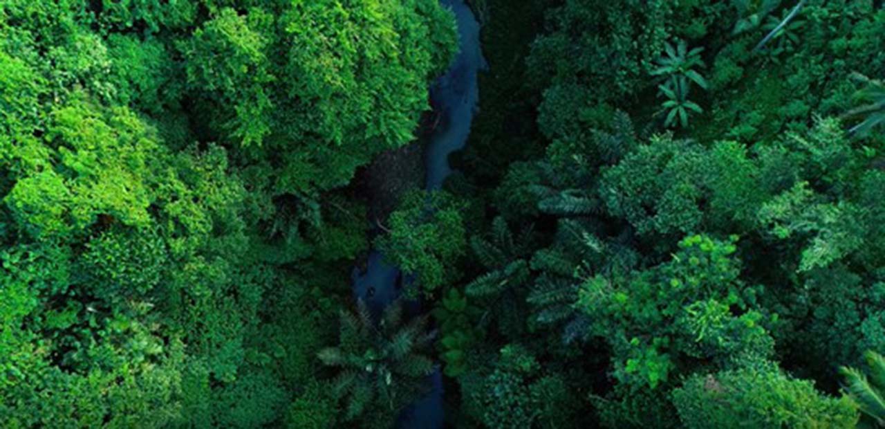 corporate sustainability