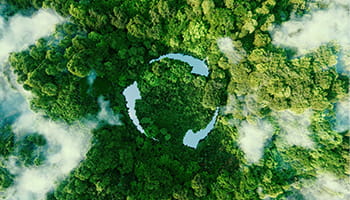 ISO 14068-1: la nuova norma per la carbon neutrality